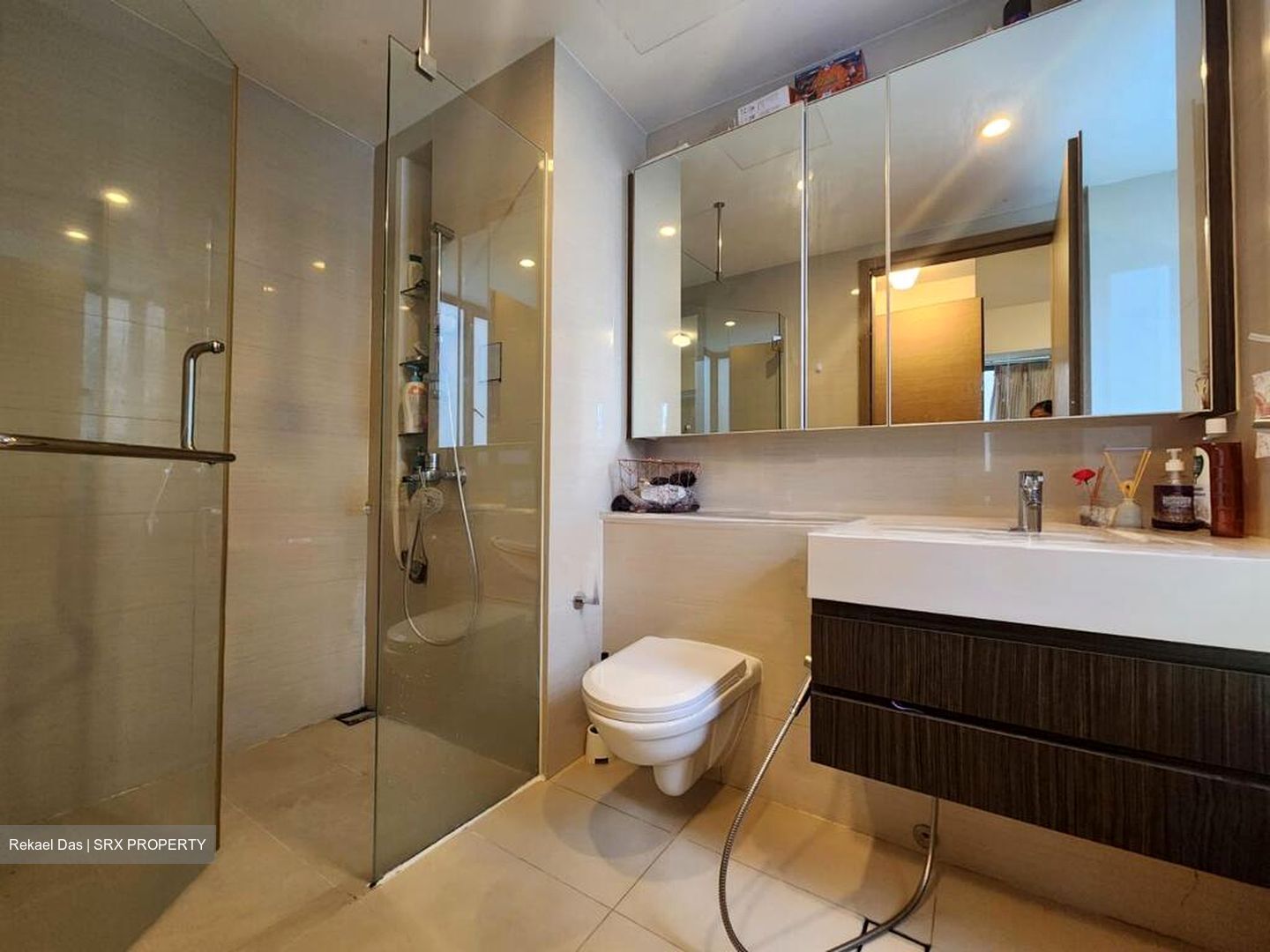 The Palette (D18), Condominium #496709841